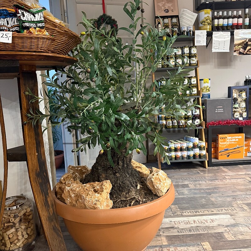 Olivovník Európsky - Bonsai / 140cm / umelá koruna + olivový kmeň