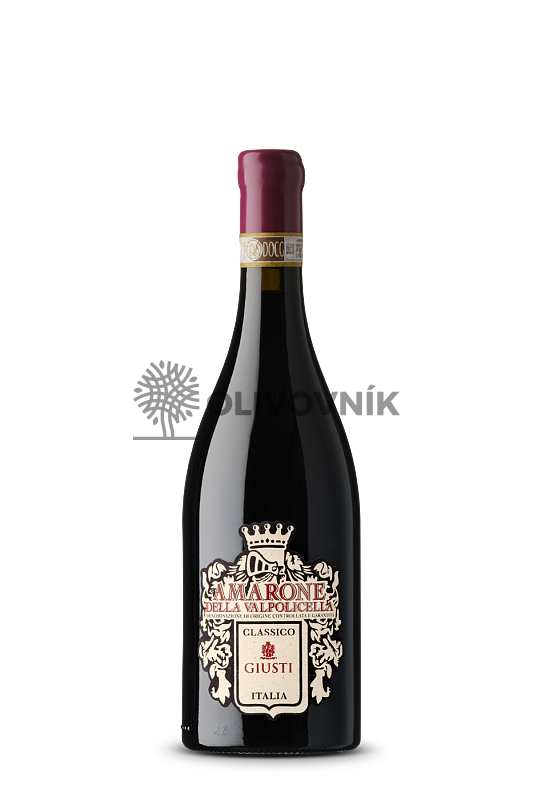 AMARONE DOCG CLASSICO 0,75 l - Giusti Wine