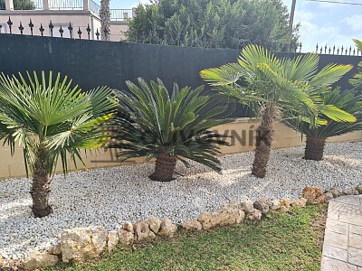 Galéria