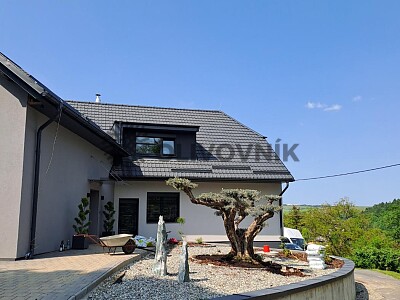Veľký Olivovník Bonsai Plato - Zlínský kraj