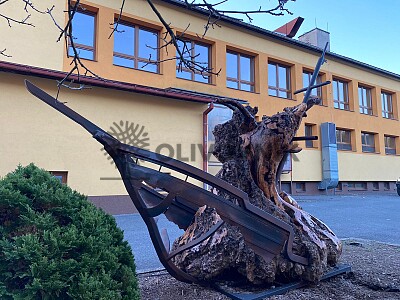 Olivovníky a palmy 2022