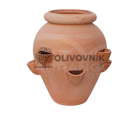 Terakota - kvetináč - STRAWBERRY JAR - Taliansko