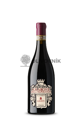 AMARONE DOCG CLASSICO 0,75 l - Giusti Wine