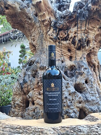 DEI CARNI CHARDONNAY 0,75 l - Giusti Wine