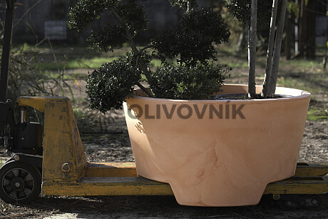 Kvetináč ERCOLINO Ø80cm - Pre Collection
