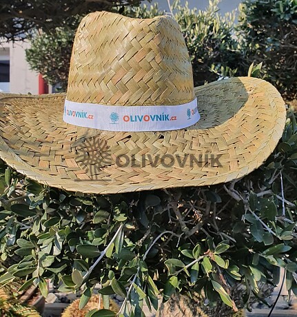 Olivovník - Slamák - univerzálna veľkosť