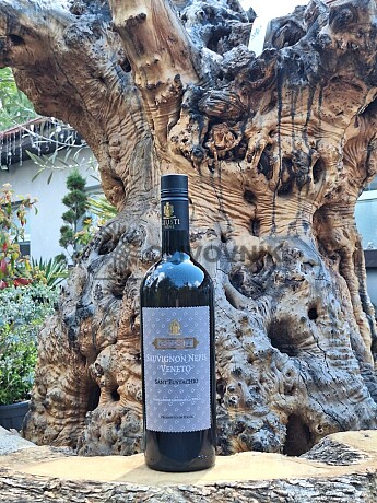 SANT´EUSTACHIO - SAUVIGNON NEPIS VENETO 0,75 l - Giusti Wine