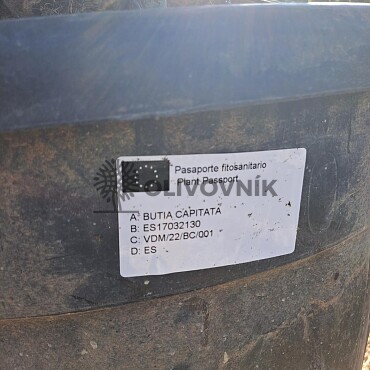 2026 Rezervace / BUTIA CAPITATA 15lt