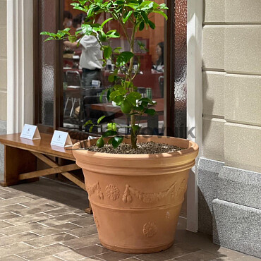 Kvetináč POT WITH FESTONE CF100
