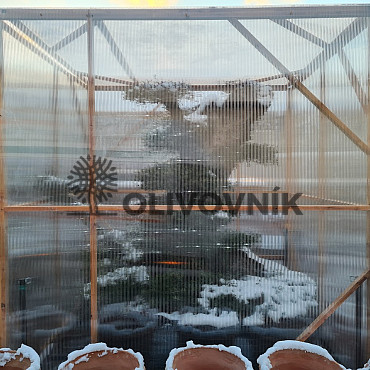 Zimovanie rastlín - zimný kryt z lexanu