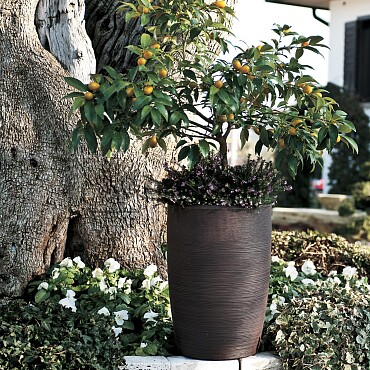 Kvetináč ORCHIDEA 75 CONICO